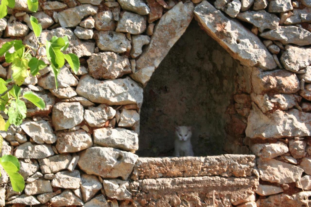 Bed and Breakfast Casa Eduardo Ostuni Esterno foto